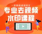 专业去视频水印教程 静态水印、动态水印、文字水印、图片水印一套教程通通搞定-一米创业记