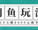龟课·闲鱼项目玩法实战班第12期，操作10天左右利润有8000元细节玩法-一米创业记