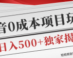 短视频变现套路剖析，抖音0成本赚钱项目玩法，日入500+独家揭秘（共2节视频）-一米创业记