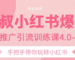 狼叔小红书爆款推广引流训练课4.0，手把手带你玩转小红书-一米创业记
