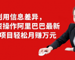 利用信息差异，零投资操作阿里巴巴最新管道项目轻松月赚10000+-一米创业记