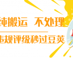 抖音纯搬运 不处理 小技巧，30秒发一个作品，避免违规评级秒过豆荚-一米创业记