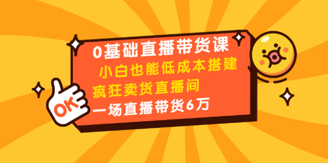 0基础直播带货课：小白也能低成本搭建疯狂卖货直播间：1场直播带货6万-一米创业记