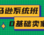 亚马逊系统班，专为0基础卖家量身打造，亚马逊运营流程与架构-一米创业记