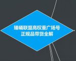 臻曦联盟抖音高权重广场号无人直播正规品带货全解-一米创业记