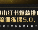 小红书爆款推广引流训练课5.0，手把手带你玩转小红书（17节实操视频+话术）-一米创业记