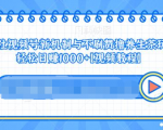 视频号新机制与不刷赞撸养生茶玩法，轻松日赚1000+-一米创业记