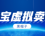 黑帽子淘宝虚拟卖货项目，单店每月收入5000+-一米创业记