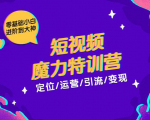 零基础小白进阶到大神《短视频魔力特训营》定位-运营-引流-变现-一米创业记