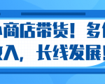 微信小商店带货，爆单多倍收入，长期复利循环！日赚300-800元不等-一米创业记