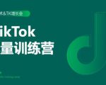 2020最新TikTok流量增长训练营（完结）附PPT-一米创业记