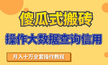 搬砖操作大数据查询信用项目赚钱教程，祝你快速月入6万-一米创业记