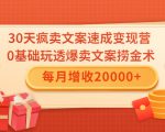 30天疯卖文案速成变现营，0基础玩透爆卖文案捞金术！每月增收20000+-一米创业记
