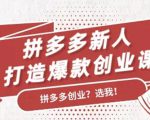 拼多多新人打造爆款创业课：快速引流持续出单，适用于所有新人-一米创业记