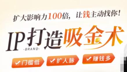 IP打造吸金术：0基础0资源，也能扩大影响力100倍，让钱主动找你！-一米创业记