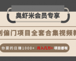 暴利偏门项目全套合集视频教程：你要的日赚1000+月入几万+项目都有-一米创业记