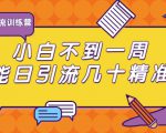 清和行记引流训练营：小白不到一周便能日引流几十精准粉-一米创业记