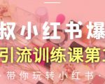狼叔小红书爆款推广引流训练课第12期，手把手带你玩转小红书-一米创业记