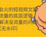 只说话就会火的短视频文案课，从根本上解决没流量的问题-一米创业记
