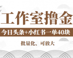 工作室撸金二件套：撸今日头条原创收益+小红书一单利润40块项目-一米创业记