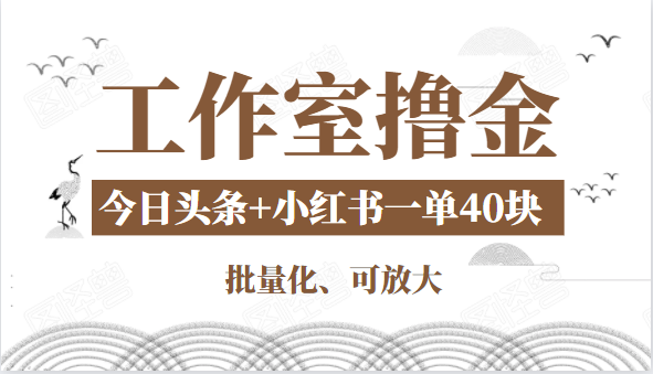 工作室撸金二件套：撸今日头条原创收益+小红书一单利润40块项目-一米创业记