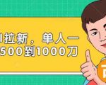 Paypal拉新赚美刀项目，单人一天利润500-1000刀【视频课程】-一米创业记