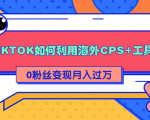 详细解析TIKTOK如何利用海外CPS+工具0粉丝轻松变现月入过万-一米创业记
