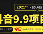 抖音9.9课程项目，没粉丝也能卖课，一天300+粉易变现-一米创业记