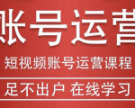 短视频账号运营课程:从话术到短视频运营再到直播带货全流程,新人快速入门-一米创业记