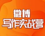 村西边老王·微博超级写作实战营，帮助你粉丝猛涨价值999元-一米创业记