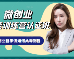 微创业全能训练营认证班课程，从理论知识与实际案例手把手指导创业新手如何从零到有-一米创业记