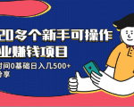 20多个新手可操作的副业赚钱项目：业余时间0基础日入几500+实操分享-一米创业记