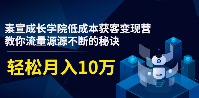 素宣成长学院低成本获客变现营，教你流量源源不断的秘诀，轻松月入10万-一米创业记