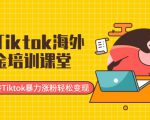 最新Tiktok海外掘金培训课堂：带你玩转Tiktok暴力涨粉轻松变现-一米创业记