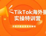 TikTok海外掘金实操特训营：手把手教运营变现赚钱-一米创业记
