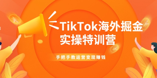 TikTok海外掘金实操特训营：手把手教运营变现赚钱-一米创业记