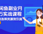 2021闲鱼副业月入过万实战课程:从开店到选择货源到引流,全程实战教学-一米创业记
