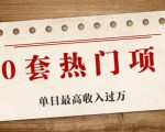 30套热门项目：单日最高收入过万 (网赚项目、朋友圈、涨粉套路、抖音、快手)等-一米创业记