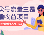 公众号流量主暴利撸收益项目，空闲时间操作单人月入过万-一米创业记