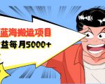 自媒体蓝海搬运项目：单号收益每月基本都可以达到5000+，可批量-一米创业记