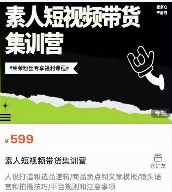 夜草与千里马素人短视频带货集训营，薛辉团队价值599-一米创业记