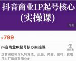 抖音商业IP起号核心实操课，带你玩转算法，流量，内容，架构，变现-一米创业记