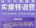 Seven漆·2022Tiktok从小白到精英实操特训营，带你掌握Tiktok账号运营-一米创业记