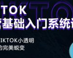 Tiktok实操进阶课程，体验从tiktok小透明到大佬的完美蜕变-一米创业记