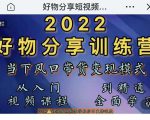 萌飞好物·2022抖音好物分享训练营，当下风口带货变现模式，从入门到精通-一米创业记