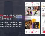 麦子互娱短视频带货·0基础做好物分享账号，无需出镜无需货源无需拍摄-一米创业记