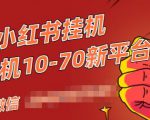视频号小红书抖音挂机项目，小白无脑操作，按照要求来，单号每天几十米-一米创业记