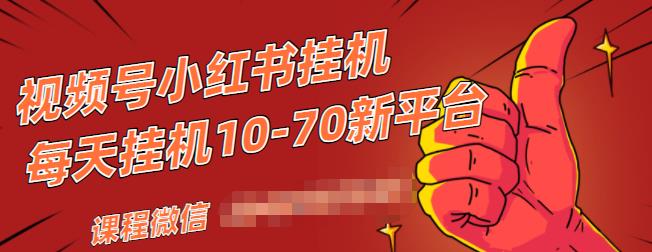 视频号小红书抖音挂机项目，小白无脑操作，按照要求来，单号每天几十米-一米创业记