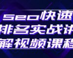 seo快速排名实战讲解视频课程，揭秘seo快排原理-一米创业记