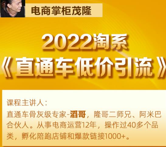 茂隆2022直通车低价引流玩法，教大家如何低投入高回报的直通车玩法-一米创业记